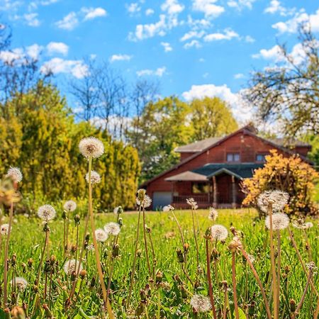 Amigosranch Villa Kruševac Dış mekan fotoğraf