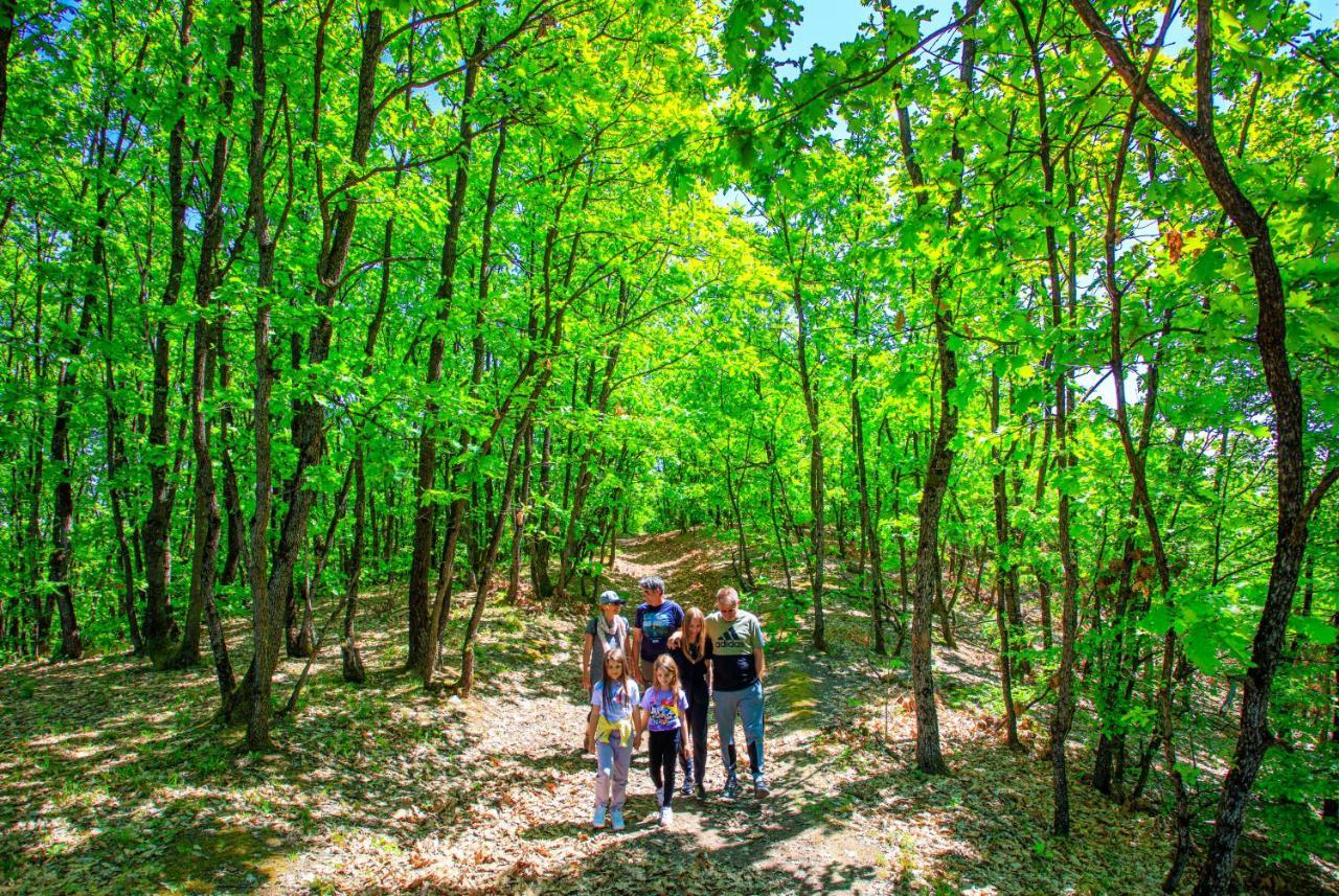 Amigosranch Villa Kruševac Dış mekan fotoğraf