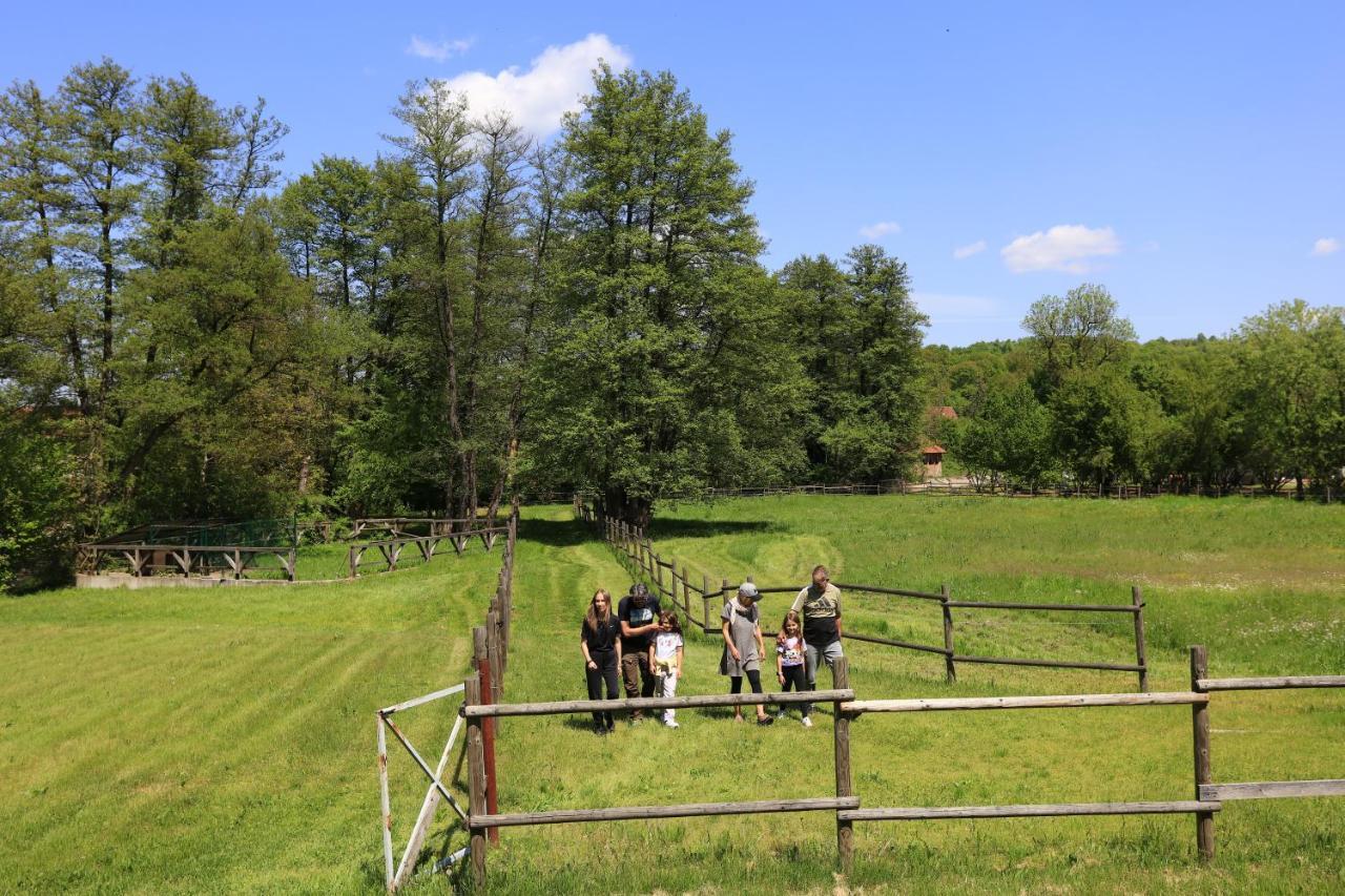 Amigosranch Villa Kruševac Dış mekan fotoğraf